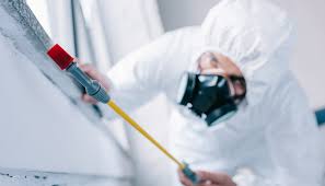 Real Estate Pest Inspections